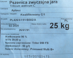 Pszenica jara Aplauz kwalifikat C1