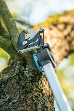 Sekator nożycowy z piłą na wysięgniku IDEAL