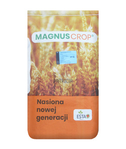 Pszenica jara oścista Patricia nasiona kwalifikat C1