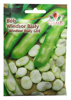 BÓB WINDSOR BIAŁY 50g