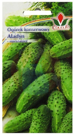 OGÓREK KONSERWOWY ALADYN 3g