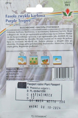 Fasola zwykła karłowa Purple Teepee 20 g
