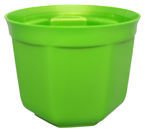 OSŁONKA 13 ZIELONY PERŁA