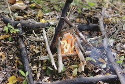 Rozpałka Woodson Eko-ognisko SURVIVAL