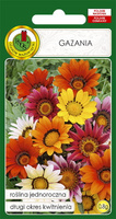 Gazania mieszana 0,8 g