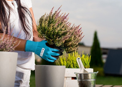 Rękawice ogrodowe 8/M