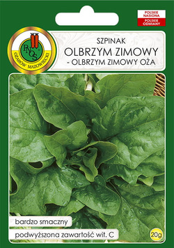 Szpinak Olbrzym Zimowy Oża 20 g PNOS