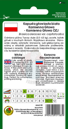 Kapusta głowiasta biała Kamienna Głowa 2 g