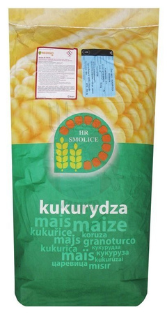 Kukurydza siewna SM Boryna kwalifikat C1 nasiona