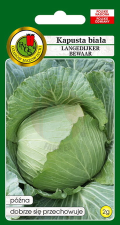 Kapusta głowiasta biała Langedijker Bewaar 2 g