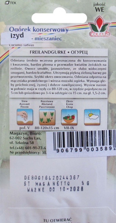 Ogórek konserwowy Izyd 5 g nasiona Coleus