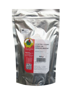 Słonecznik ozdobny Evening Sun czerwono-brązowy 500 g