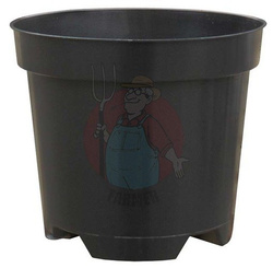 Doniczka produkcyjna 2 L okrągła do uprawy borówki