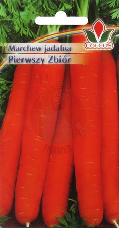 MARCHEW JADALNA PIERWSZY ZBIÓR 5g