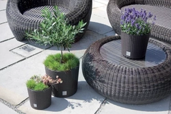 Donica Rato Round 20 mocca