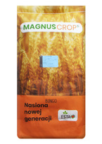 Owies jary Bingo kwalifikat C1 nasiona