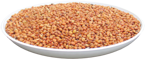 SORGO (cena za 1kg)