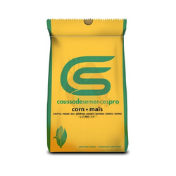 Kukurydza Ibarama C1