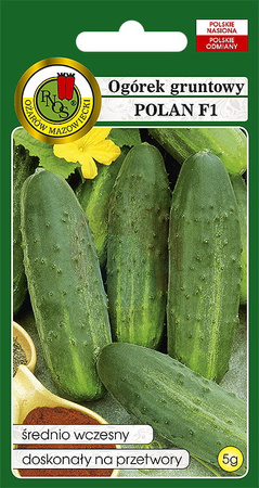 Ogórek gruntowy Polan F1 5 g