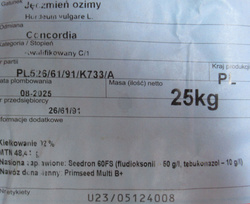 Jęczmień Concordia