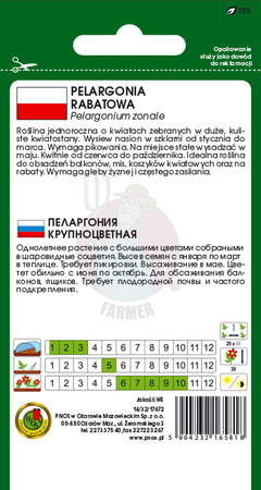 Pelargonia rabatowa F1 czerwona 10 z