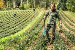 Szpadel szkółkarski / drenarski IDEAL PRO
