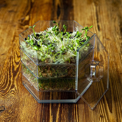 Kiełkownica wielopoziomowa Niezłe Ziółko - Zestaw (745750)