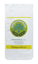 Pszenica oścista Wilejka nasiona kwalifikat C1