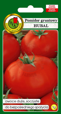 Pomidor gruntowy Hubal 1 g