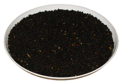 Rzepak paszowy (cena za kg)