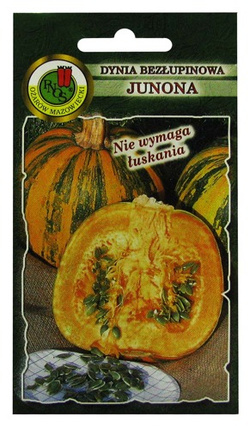 DYNIA BEZŁUPINOWA JUNONA 5g