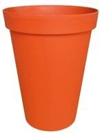 PALMÓWKA 23 TERAKOTA