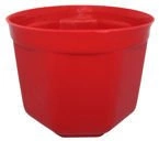 OSŁONKA 13 CZERWONA