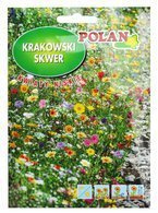 Krakowski Skwer - kwiaty niskie 20 g