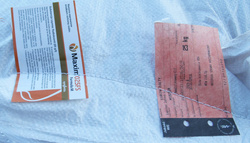 Łubin siewny Mister kwalifikat C2 nasiona zaprawione