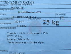 Jęczmień ozimy Winnie nasiona kwalifikat C1