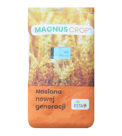 Pszenica jara KWS Dorium nasiona kwalifikat C1