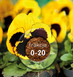 Torf odkwaszony frakcja 0/20 mm pH 5,5-6,5 250L z nawilżaczem HOLLAS