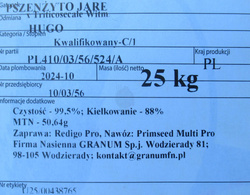 Pszenżyto jare Hugo nasiona kwalifikat C1