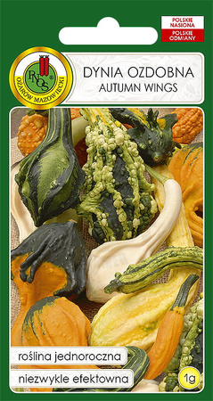 Dynia ozdobna Autumn Wings mieszana 1 g PNOS