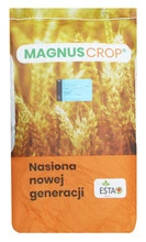 Pszenica ozima Gentleman