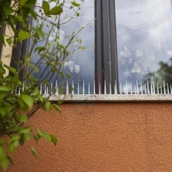 Kolce przeciw ptakom - 40x9x8,5cm, 3 szt.