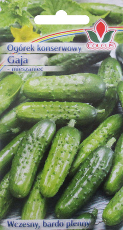 Ogórek konserwowy Gaja 4 g nasiona Coleus