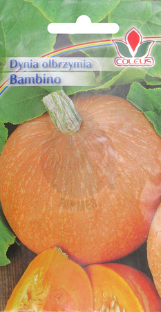 Dynia olbrzymia Bambino 3 g