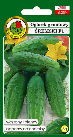 Ogórek gruntowy śremski F1 5 g