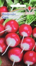 Rzodkiewka Caro 10 g
