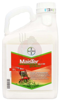 Maister Power 42,5 OD 5L
