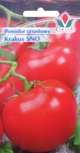 Pomidor gruntowy Krakus 3 g nasiona Coleus