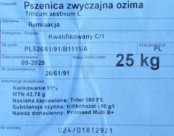 Pszenica ozima Iluminacja nasiona kwalifikat C1
