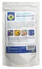 Łąka kwiatowa Malowany Dywan 250 g